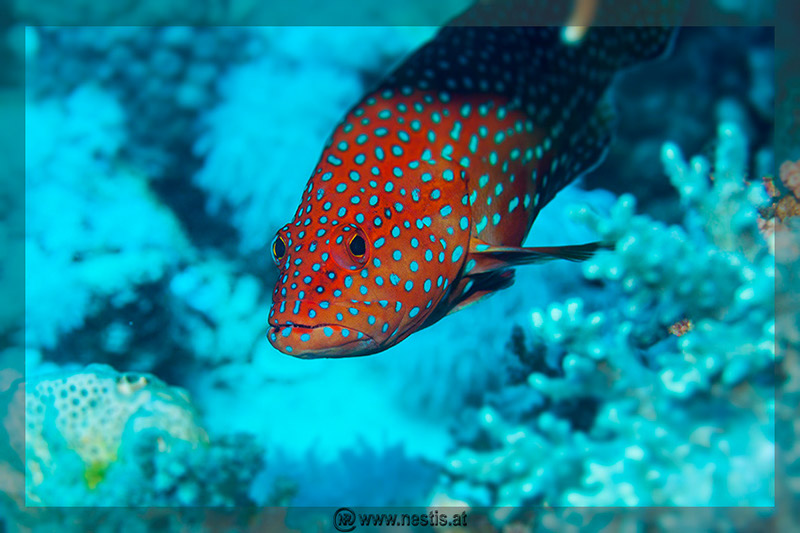 %_tempFileName_MG_8404%