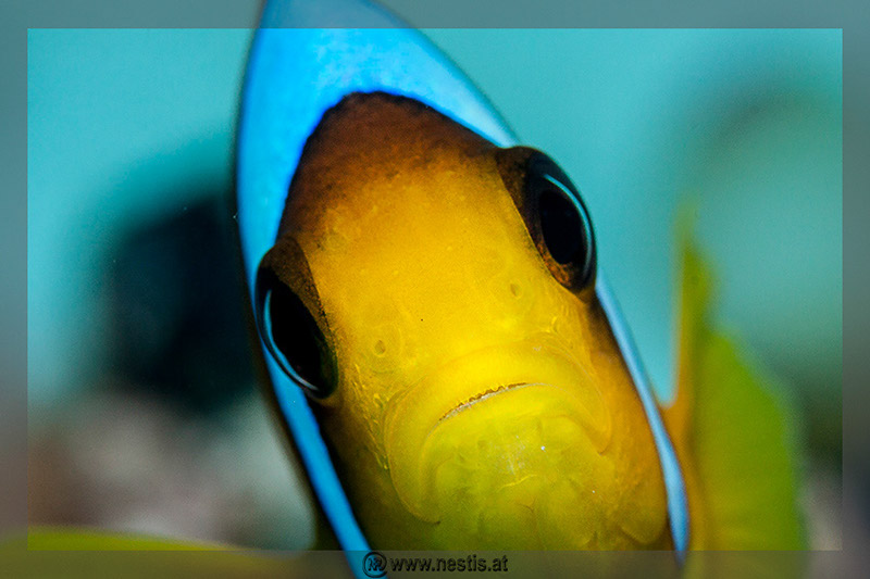 %_tempFileName_MG_8409%