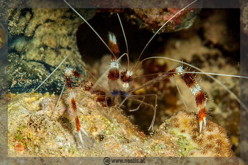 %_tempFileName_MG_8651%