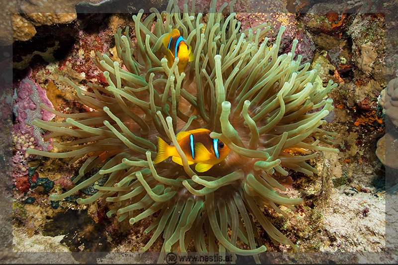 %_tempFileName_MG_8837%